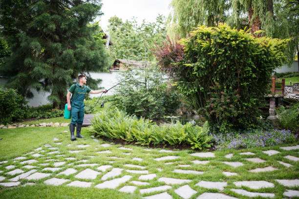 Best Best Pest Control Companies  in Kings Point, NY